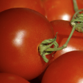 Applications - Food and Beverage